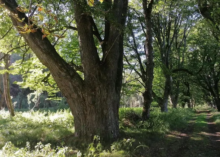Na Pekarne